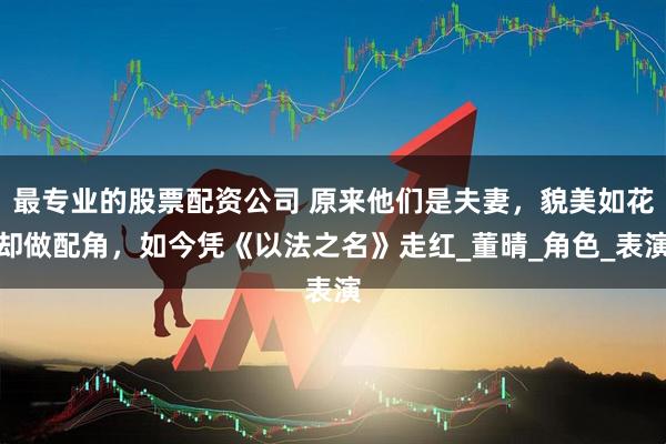 最专业的股票配资公司 原来他们是夫妻，貌美如花却做配角，如今凭《以法之名》走红_董晴_角色_表演