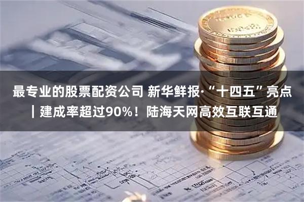 最专业的股票配资公司 新华鲜报·“十四五”亮点｜建成率超过90%！陆海天网高效互联互通